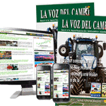 BANNER VOZ CAMPO 300x250