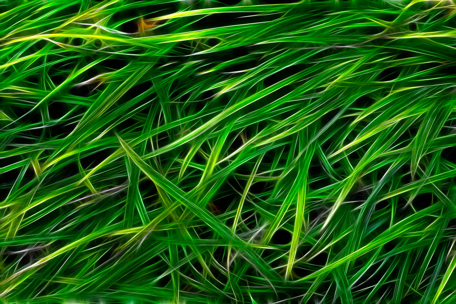 stockvault-grass-texture-abstract133759